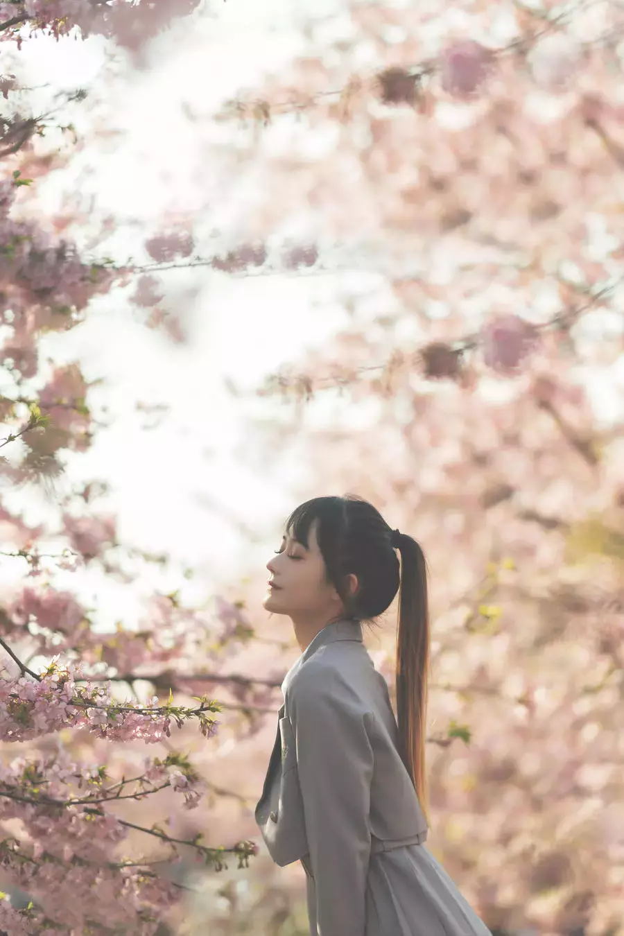 No.033-櫻之聲 [26P] 清纯又好看的美女壁纸-丽图社