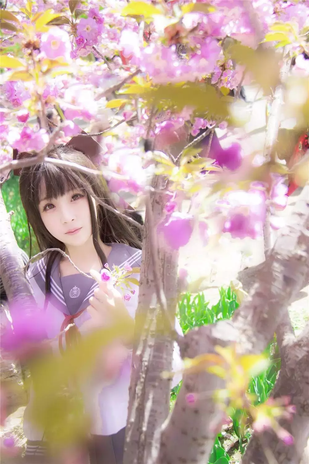 No.007-樱花记 毕业祭 [16P] 国内艺体美女拍唯美写真-丽图社