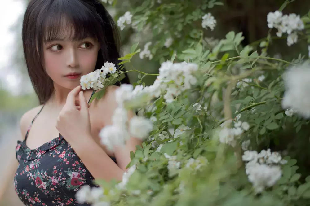 No.022-蔷薇1 [22P] 高清壁纸美女写真-丽图社