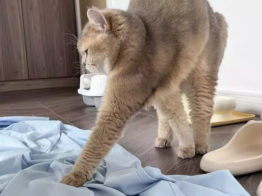 No.083 – [Fantia] 2023年03月订阅 (5套) [44P 5V] 时尚美女写真壁纸图片照-丽图社