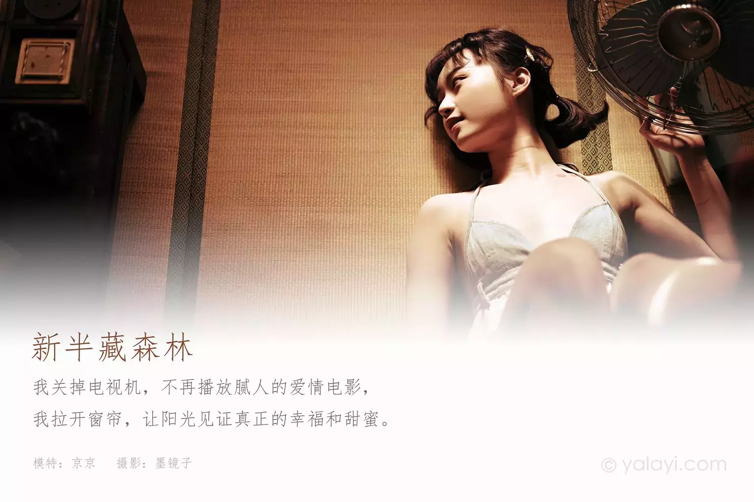 [YALAYI雅拉伊] 2021.01.15 NO.752 京京《新半藏深林》 街拍包臀裙穿搭-丽图社