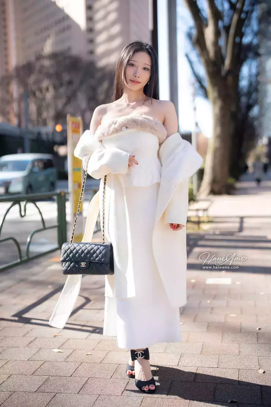 No.234 – 2025年01月订阅 (2套) [63P 6V] 惊艳好看的高清美女壁纸-丽图社